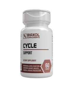 CYCLE SUPPORT